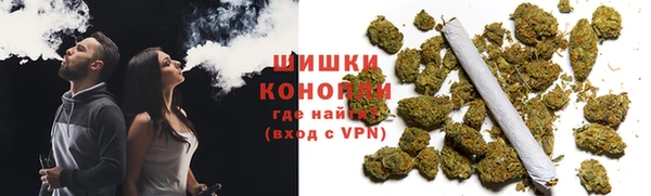 сатива Осташков