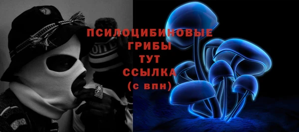 сатива Осташков