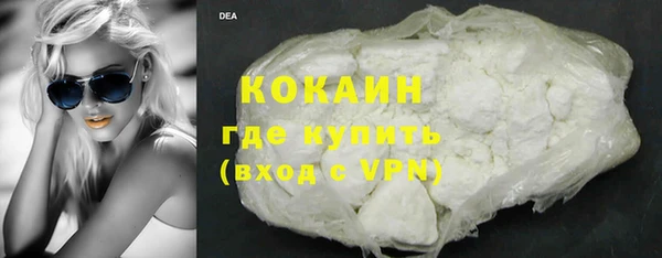 сатива Осташков