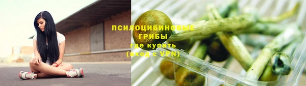 соль ск Осинники