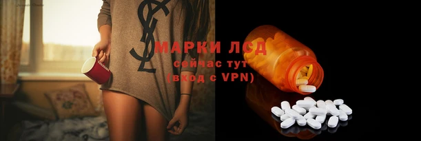 сатива Осташков