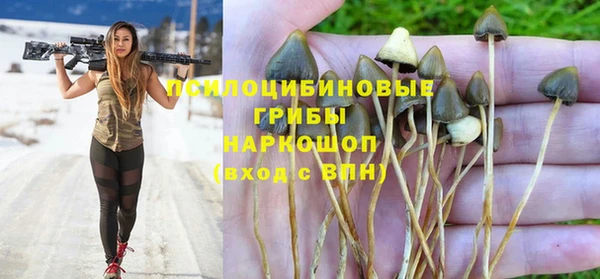 сатива Осташков