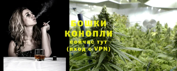 сатива Осташков